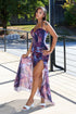 Izmir Mesh Print Maxi Dress